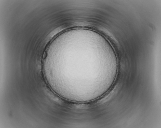 X0000110321025200906042039