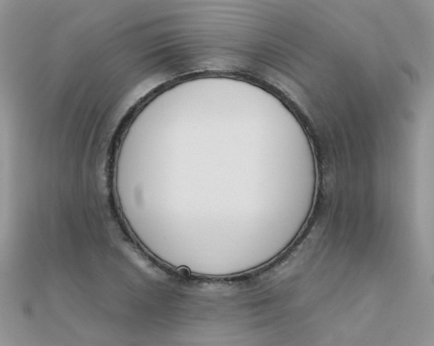 X0000110321026200906042039