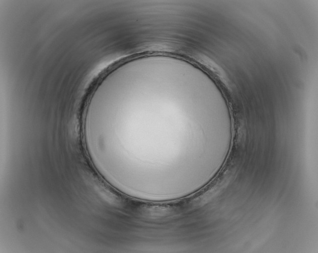 X0000110321027200906042039