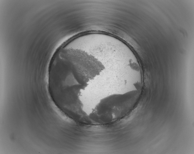 X0000110321028200906042039