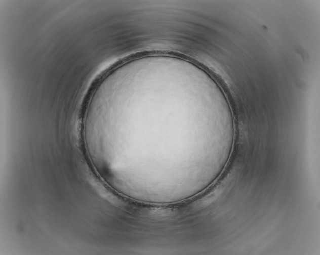 X0000110321029200906042039