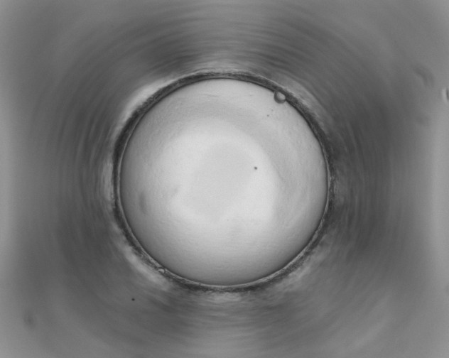 X0000110321030200906042039