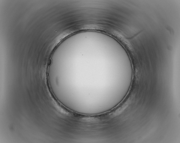 X0000110321033200906042039