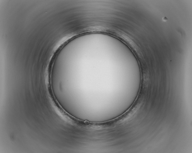 X0000110321034200906042039