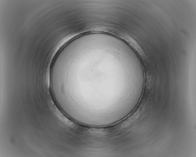 X0000110321036200906042039