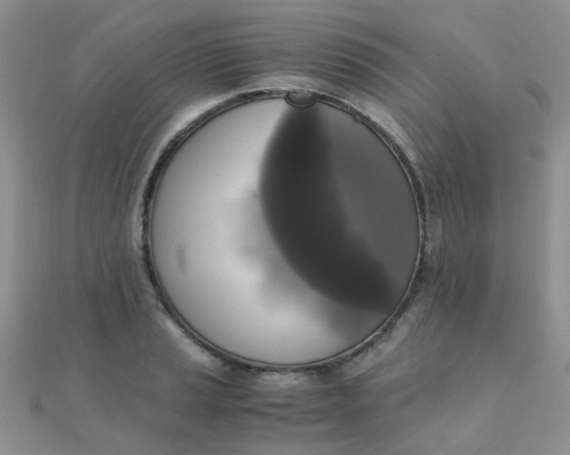 X0000110321037200906042039