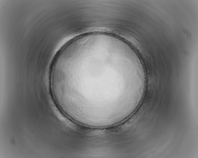 X0000110321038200906042039