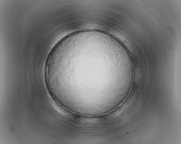 X0000110321039200906042039