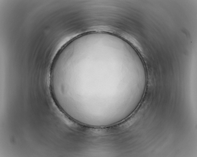 X0000110321040200906042039