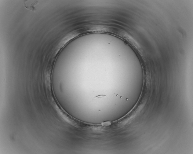 X0000110321041200906042039