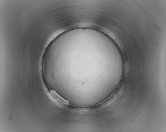 X0000110321042200906042039