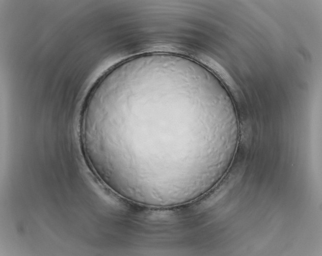 X0000110321043200906042039