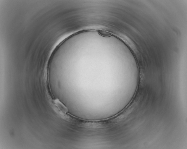 X0000110321044200906042039