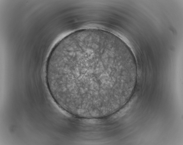 X0000110321045200906042039