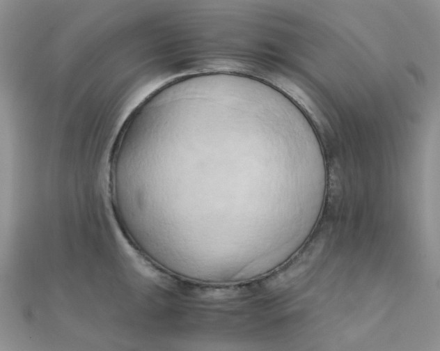 X0000110321047200906042039