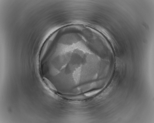 X0000110321048200906042039