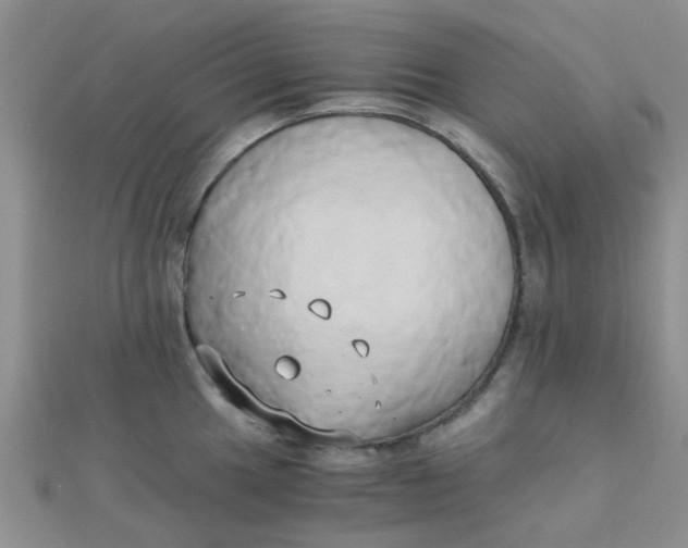 X0000110321049200906042039