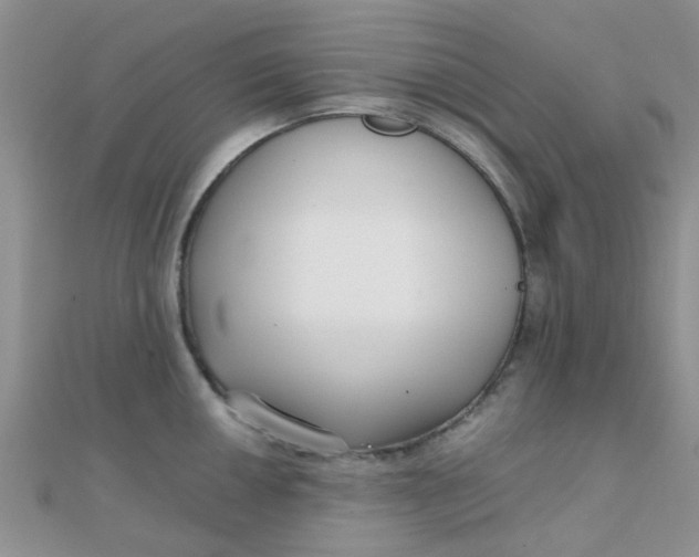 X0000110321050200906042039