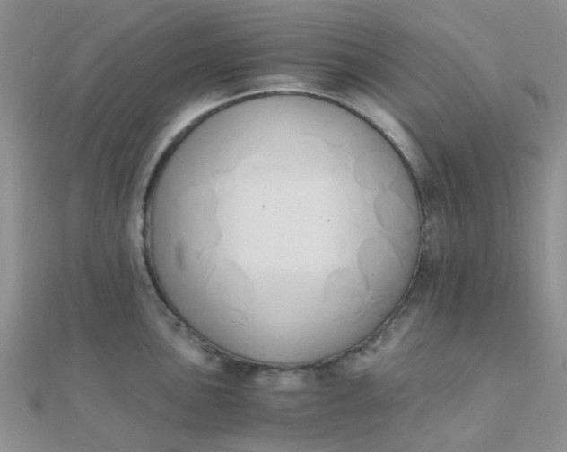 X0000110321051200906042039