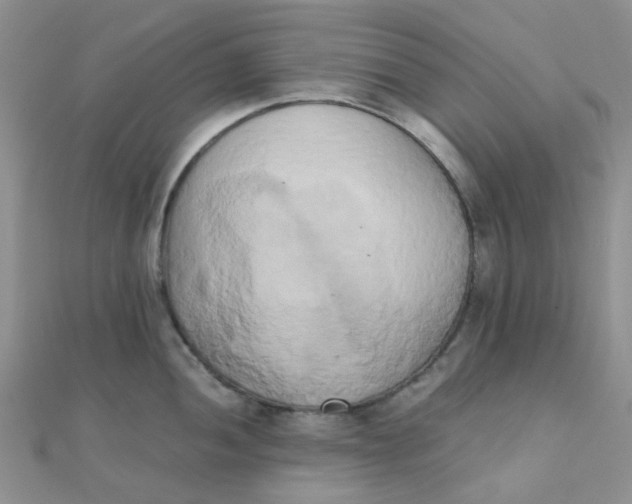 X0000110321052200906042039