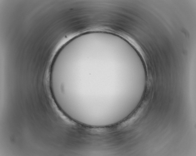 X0000110321053200906042039