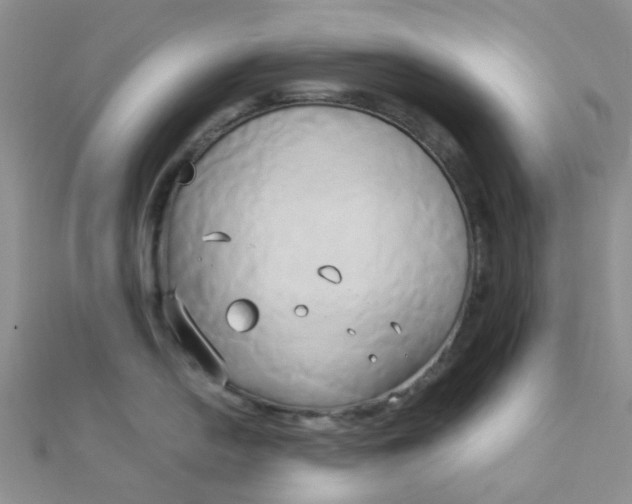 X0000110321054200906042039