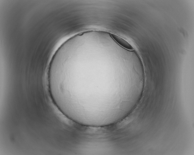 X0000110321056200906042040