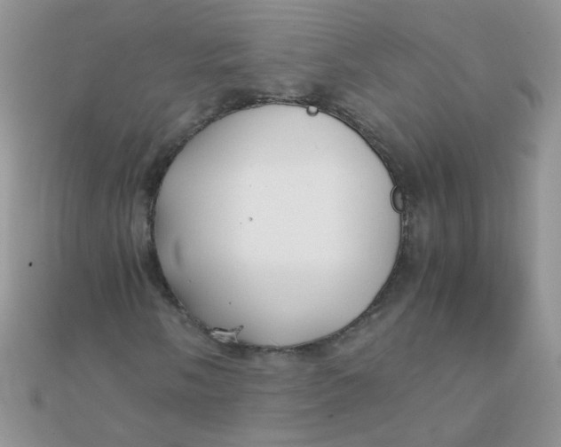 X0000110321058200906042039