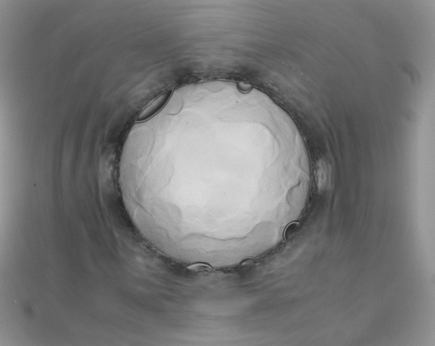 X0000110321059200906042039