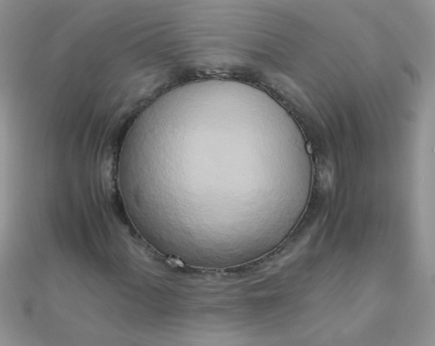 X0000110321060200906042039