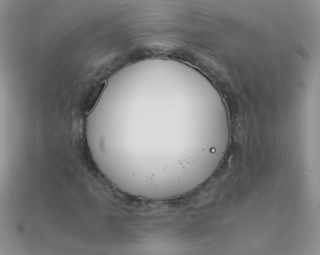 X0000110321061200906042039