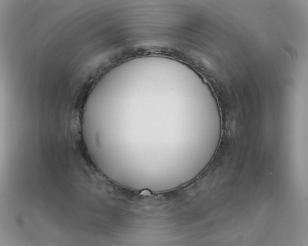 X0000110321062200906042039