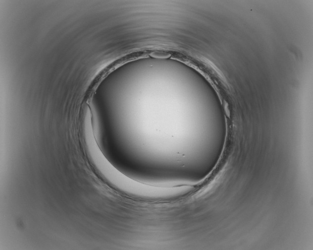 X0000110321065200906042039