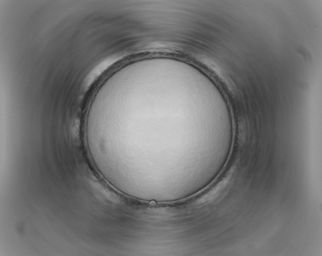 X0000110321066200906042039