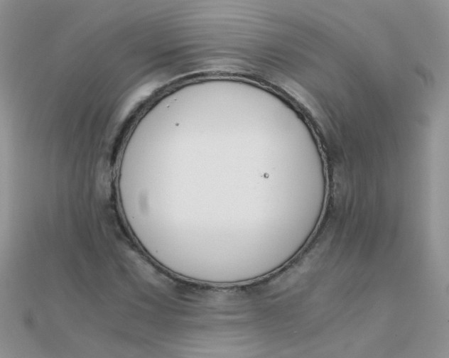 X0000110321067200906042039