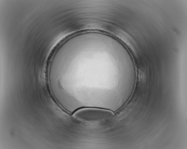 X0000110321068200906042039