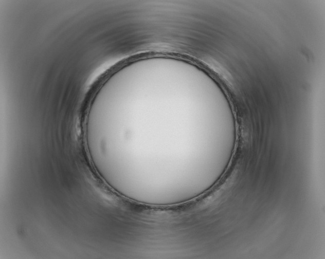 X0000110321070200906042039