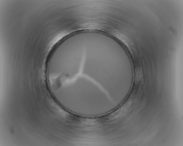 X0000110321071200906042039