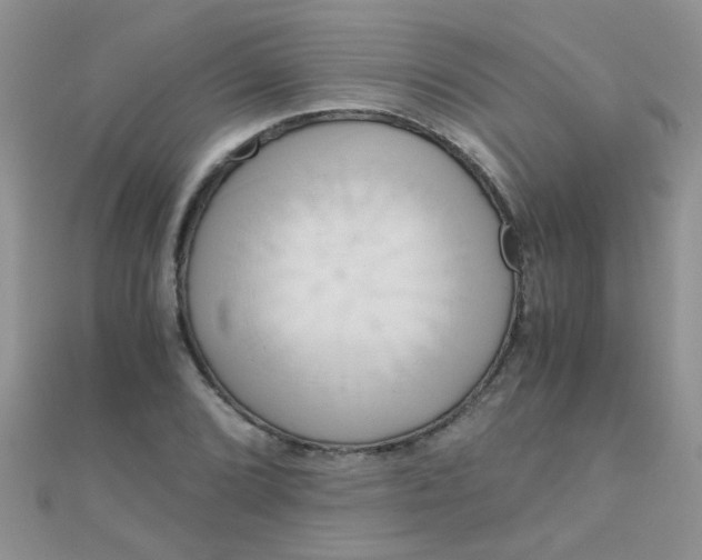 X0000110321072200906042039