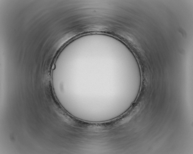 X0000110321073200906042039