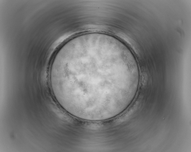 X0000110321074200906042039