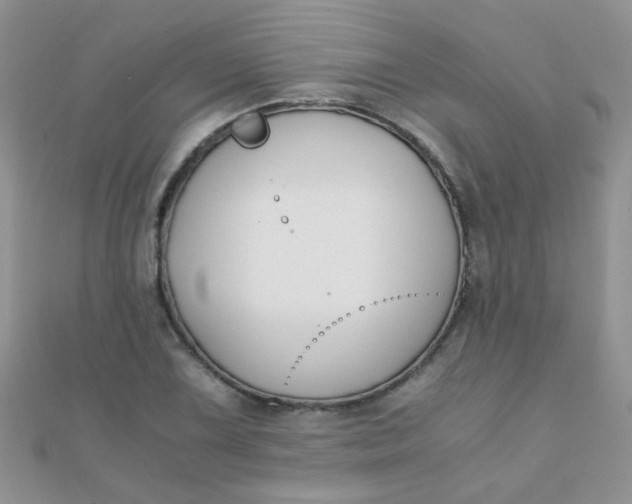 X0000110321075200906042039