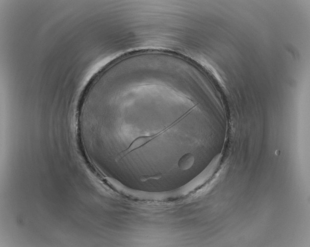 X0000110321077200906042039