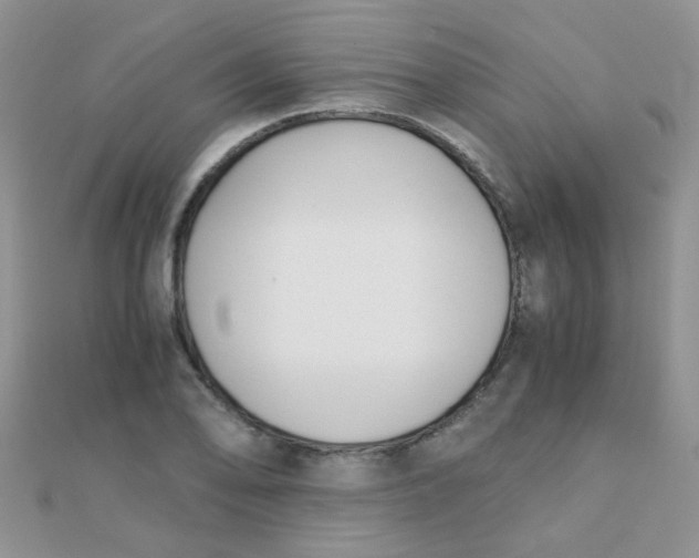 X0000110321078200906042039