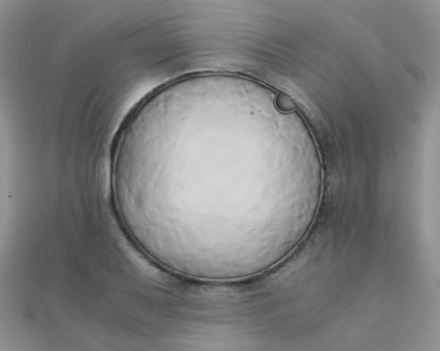 X0000110321079200906042039