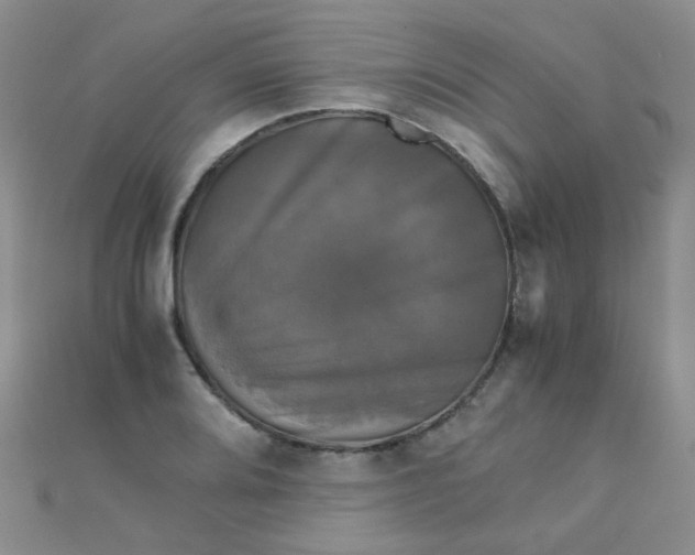 X0000110321080200906042039