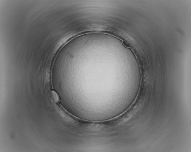 X0000110321081200906042038