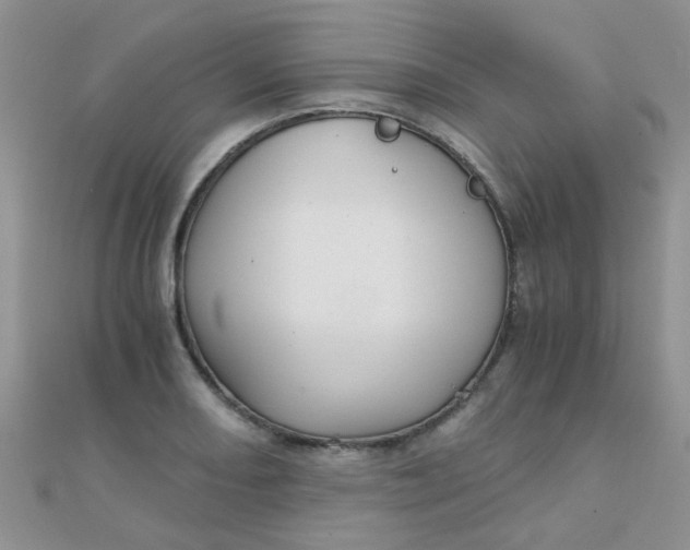 X0000110321082200906042038