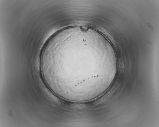 X0000110321083200906042038