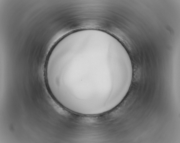 X0000110321086200906042038